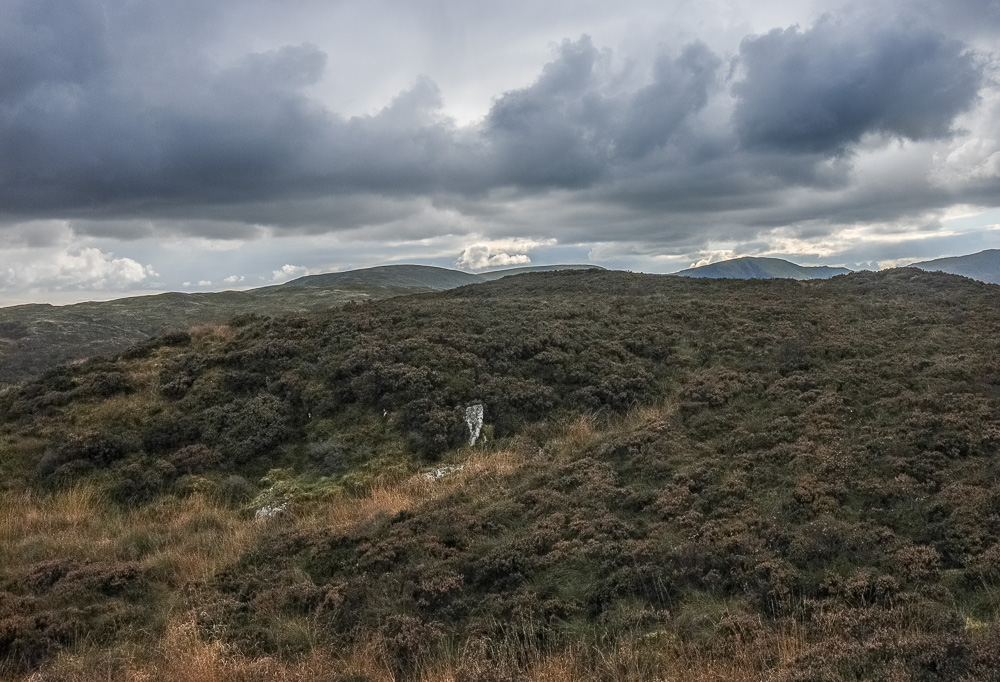 Naddle Low Forest Naddle Low Forest